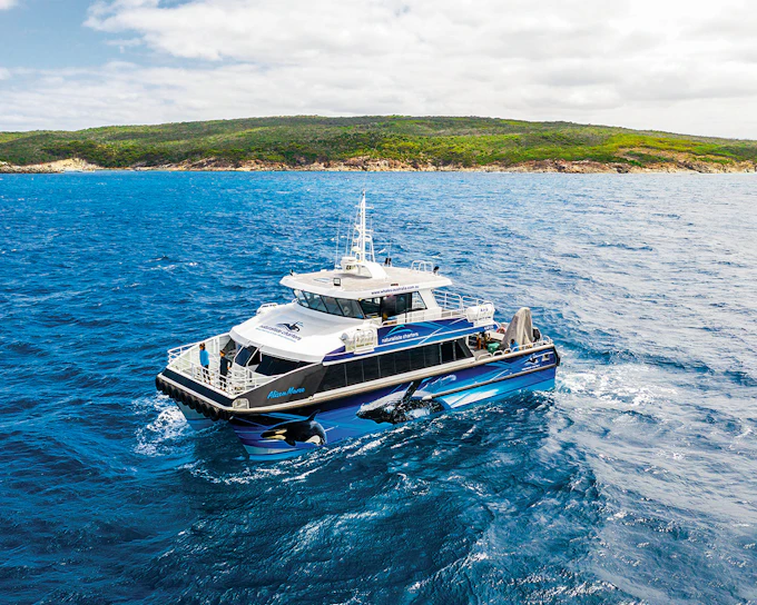 From Augusta: Whale Watching Cruise