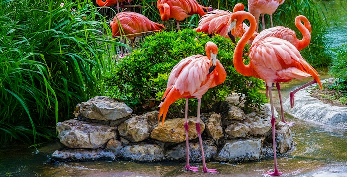 Grădina zoologică din Lisabona