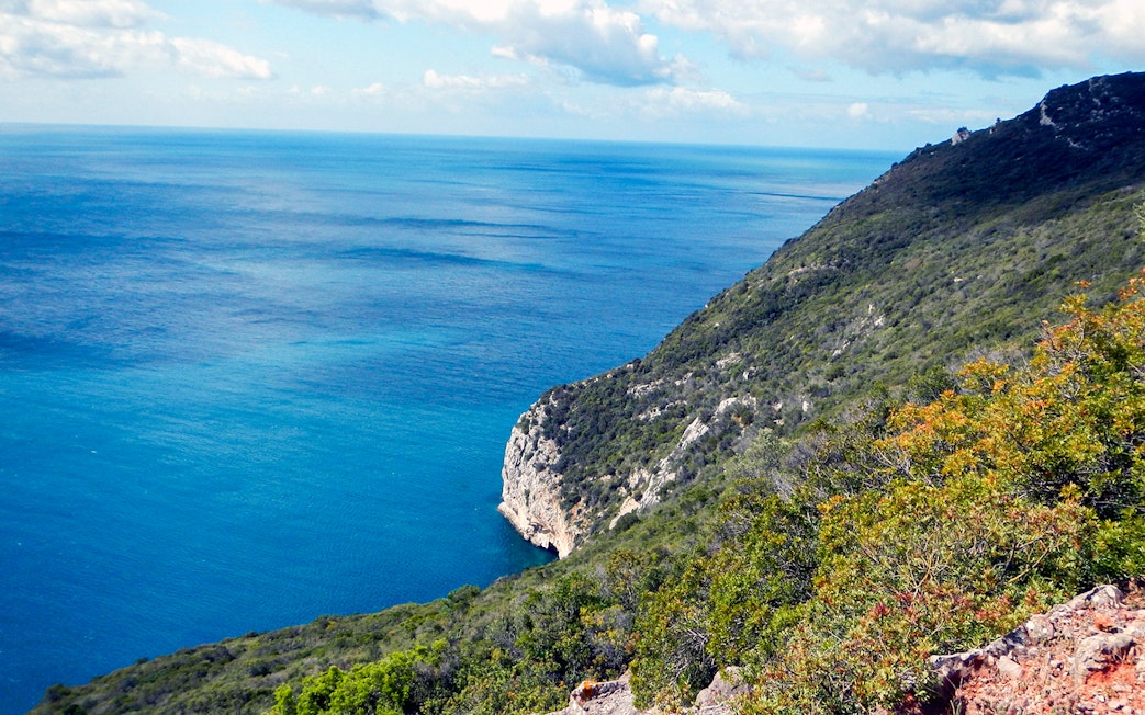 Coastal view of Arrábida Natural Park with lush greenery and blue ocean.