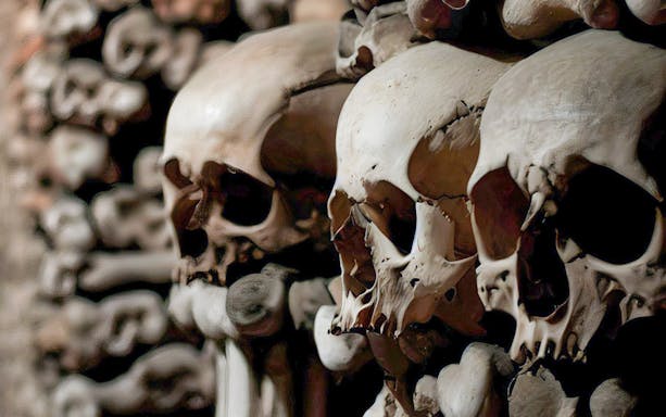 Skulls and bones in the Paris Catacombs, part of the Catacombs Entry & Seine River Cruise tour.
