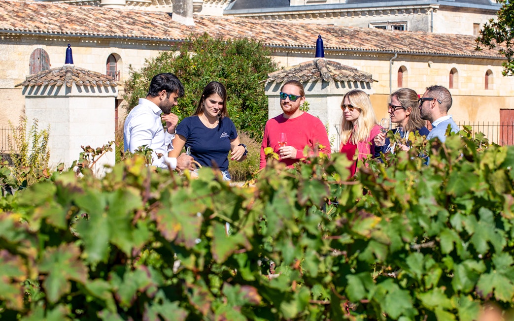 Tour group enjoying wine tasting in Saint-Emilion vineyard.