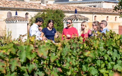 Tour group enjoying wine tasting in Saint-Emilion vineyard.