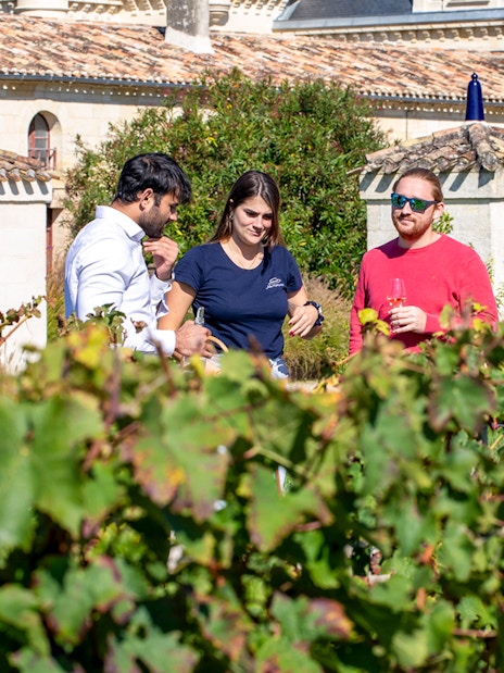 Tour group enjoying wine tasting in Saint-Emilion vineyard.
