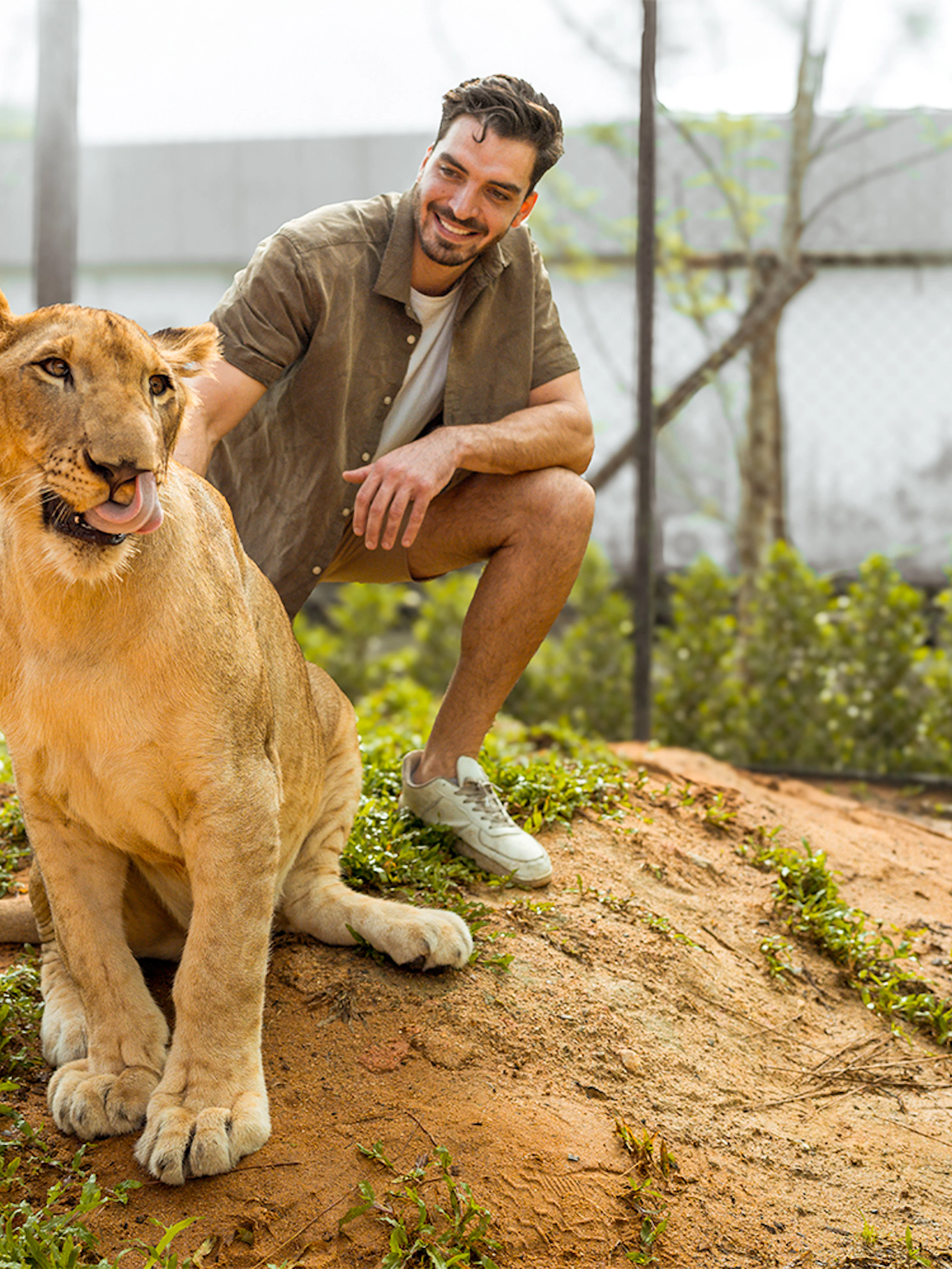 Man interacting with a lion at Lion Land Phuket.