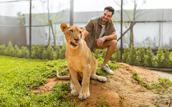 Man interacting with a lion at Lion Land Phuket.