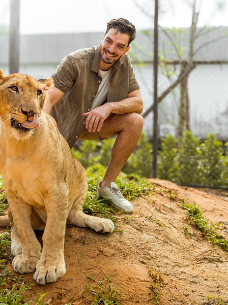 Man interacting with a lion at Lion Land Phuket.