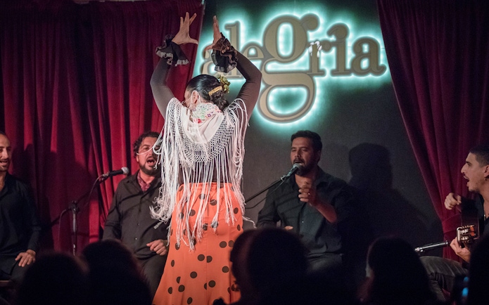 Flamenco dancer performing with musicians at Alegría venue.