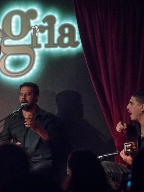 Flamenco dancer performing with musicians at Alegría venue.