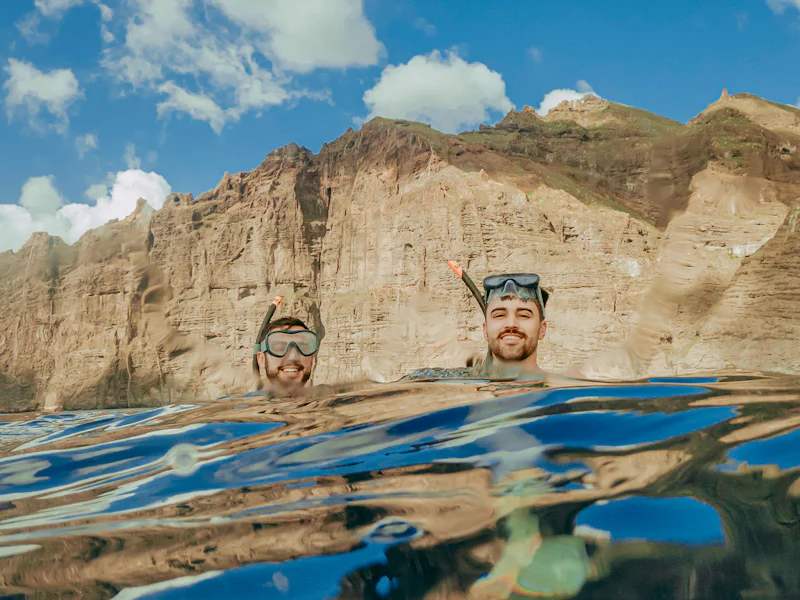 Eco Sailing Cruise With Whale And Dolphin Watching Snorkeling And Snacks - Teneriffa