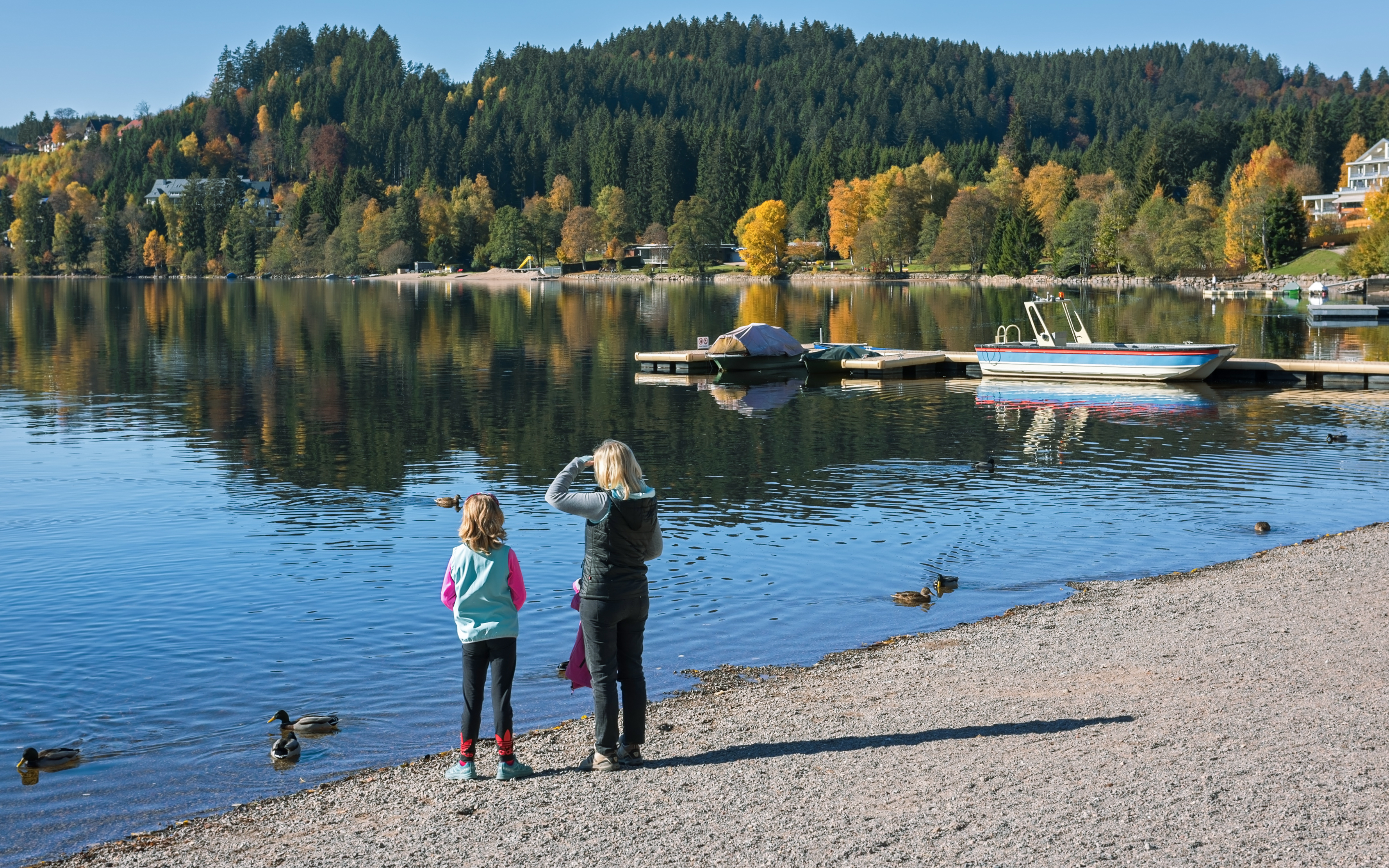 Woman and child observing ducks at Lake Titisee, Germany, with boats and forested hills in the background.