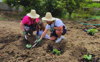 Participants harvesting vegetables on an organic farm during a Tangier Moroccan cooking class.