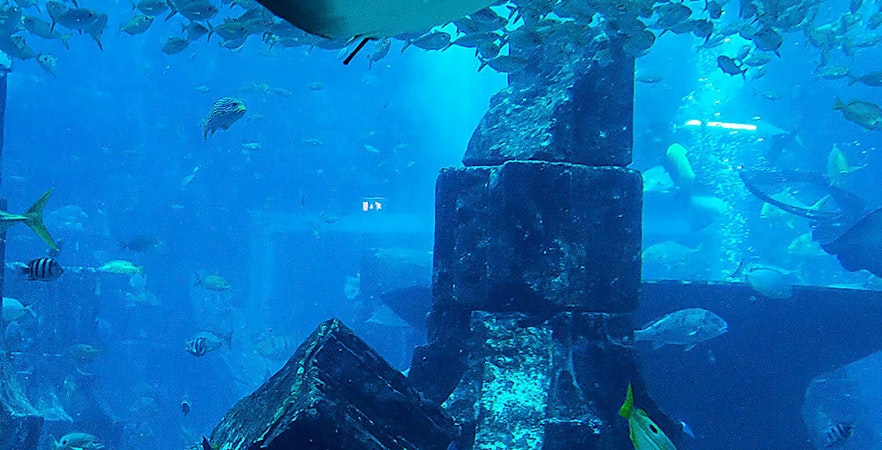 Aquarium national de Malte