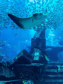 Acquario Nazionale di Malta
