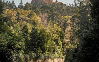 Pena Palace atop a forested hill in Sintra, view from the Sintra Private Tour.