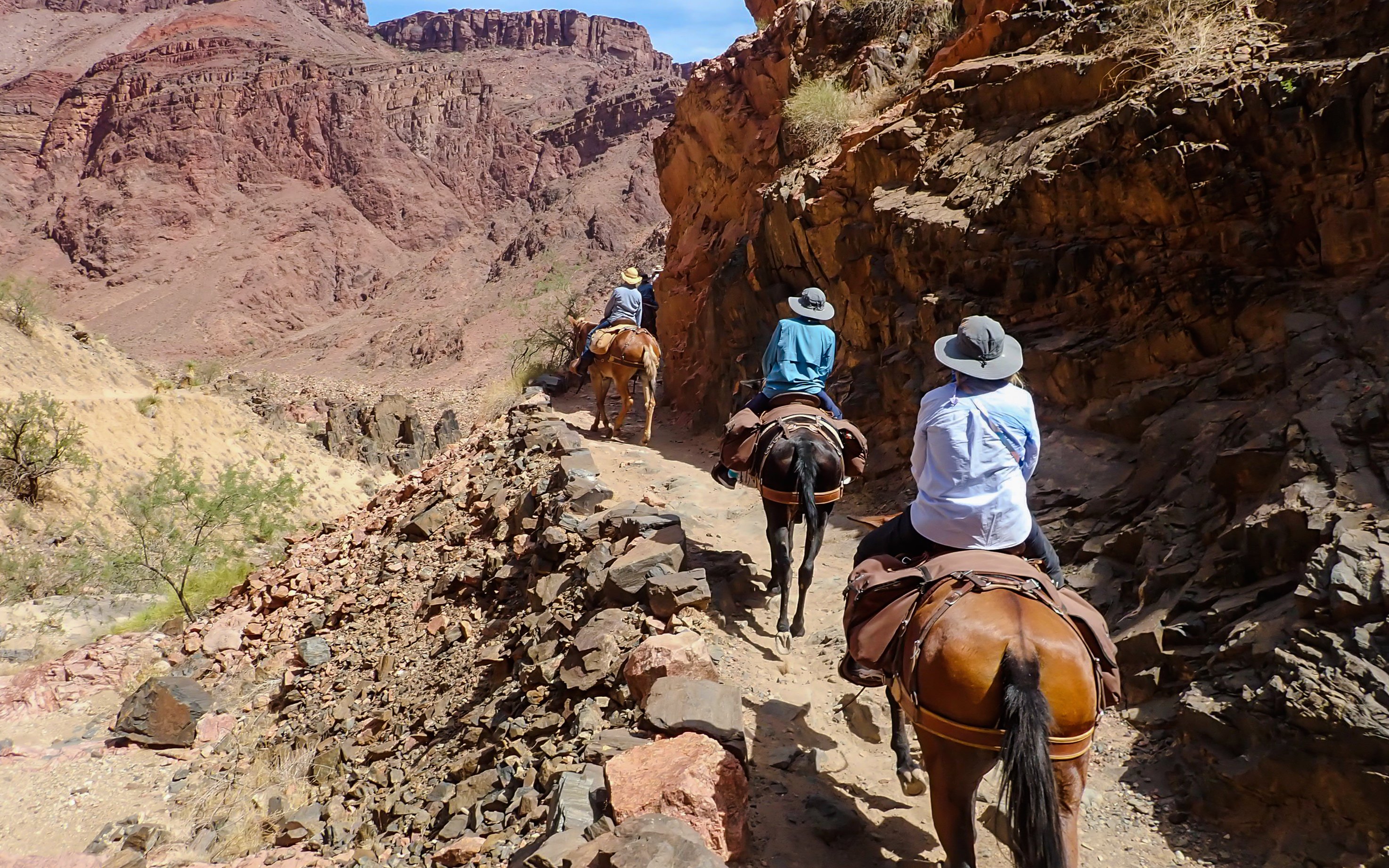 Guests riding horses along a rocky trail in a desert canyon.