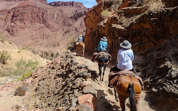 Guests riding horses along a rocky trail in a desert canyon.