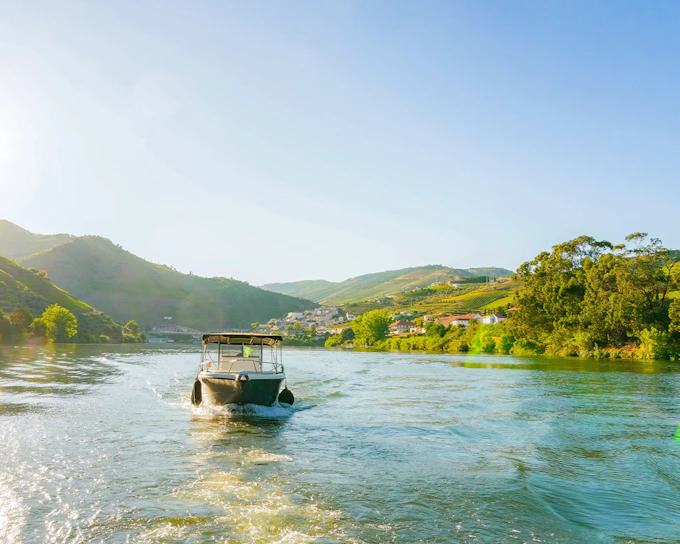 From Pinhão: Douro Valley Boat Tour with Wine Tasting and Lunch