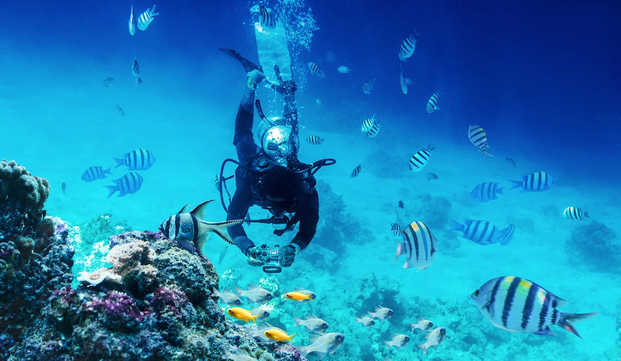Scuba diver exploring coral reef with colorful fish in Red Sea, Hurghada.