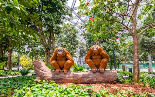 Topiary orangutan sculptures on a log at Canopy Park, Jewel Changi.