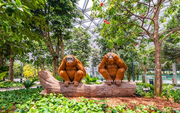 Topiary orangutan sculptures on a log at Canopy Park, Jewel Changi.