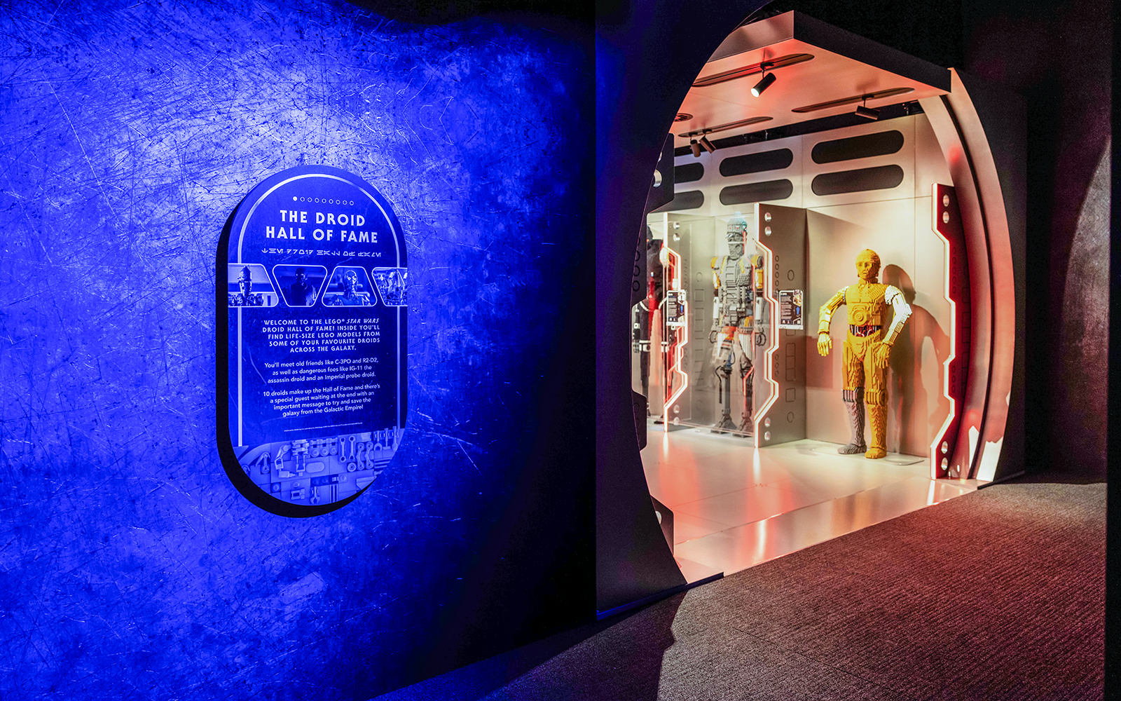 LEGO Star Wars Droid Hall of Fame exhibit with C-3PO and other droid models.
