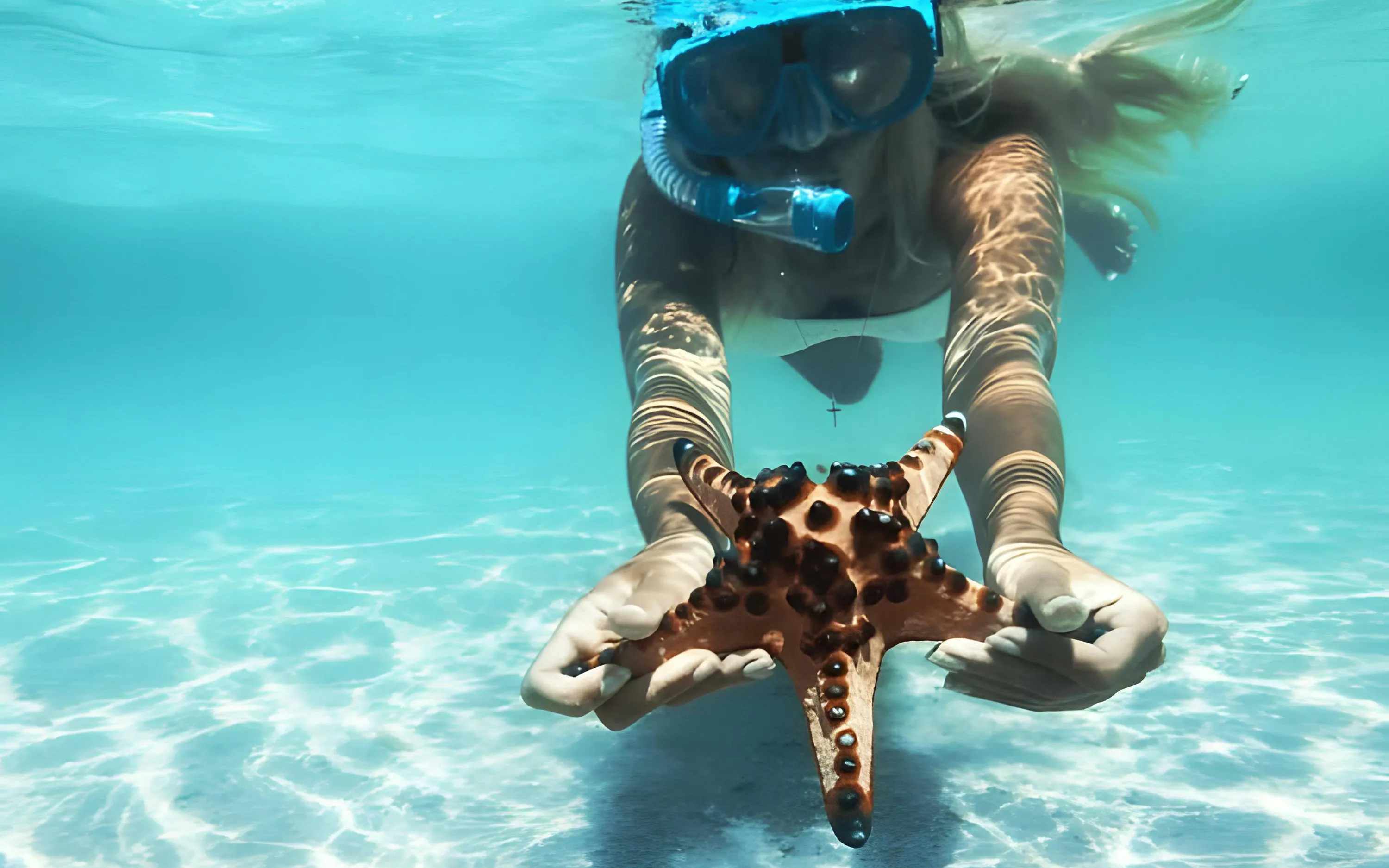 Snorkeler holding a red cushion sea star in clear blue water, Rosario Islands, Cartagena.