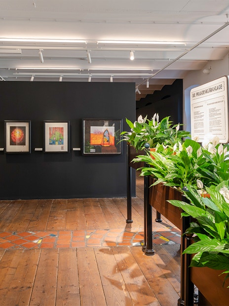 KUNST HAUS WIEN exhibit with framed artworks and lush greenery in Hundertwasser Museum.