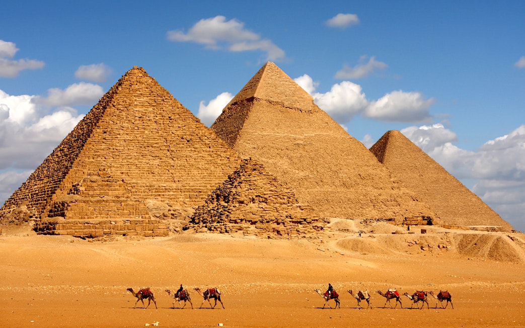 Camels walking in front of the Pyramids of Giza under a blue sky.