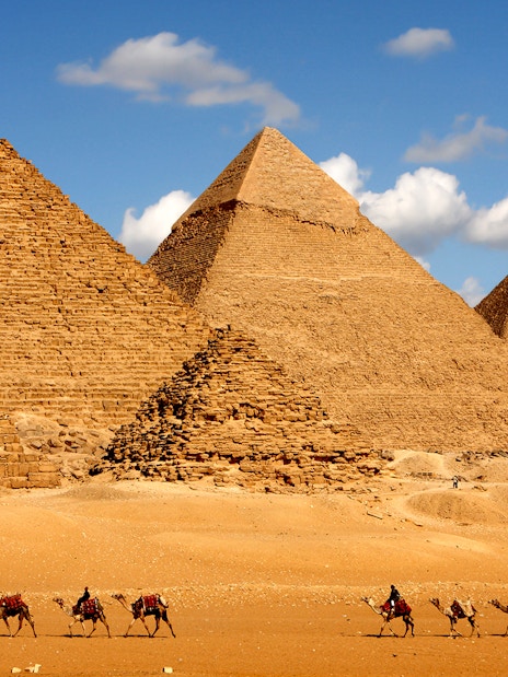 Camels walking in front of the Pyramids of Giza under a blue sky.