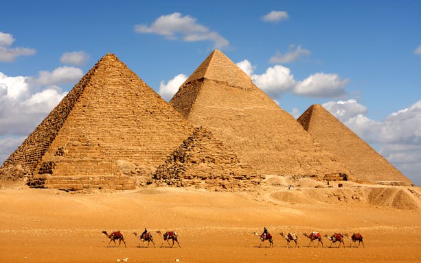 Camels walking in front of the Pyramids of Giza under a blue sky.