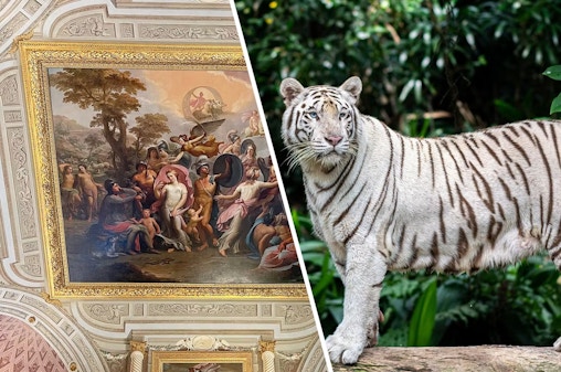 Kombi: Galleria Borghese + Rom Bioparco Tickets