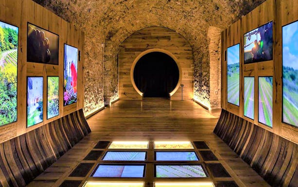 Interactive exhibit at Museum of Brunello di Montalcino featuring vineyard images.