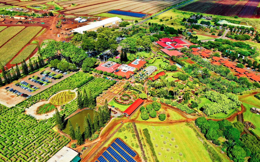 Aerial view of Dole Plantation in Oahu featuring gardens, maze, and surrounding fields.