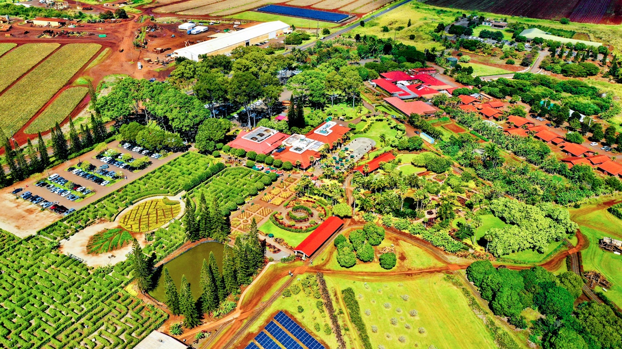 Aerial view of Dole Plantation in Oahu featuring gardens, maze, and surrounding fields.