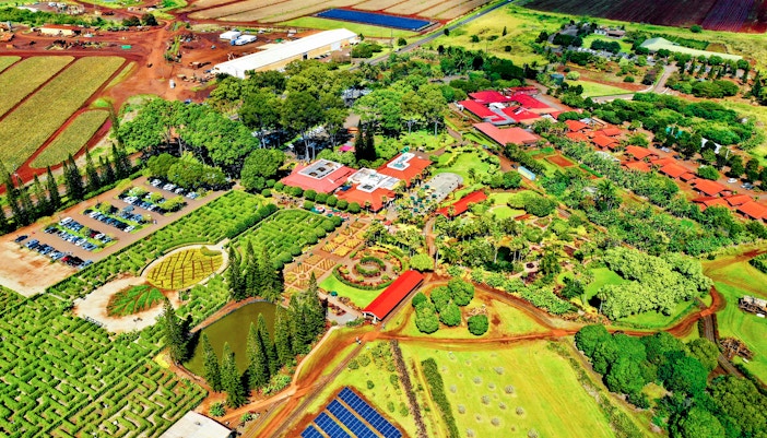 Aerial view of Dole Plantation in Oahu featuring gardens, maze, and surrounding fields.