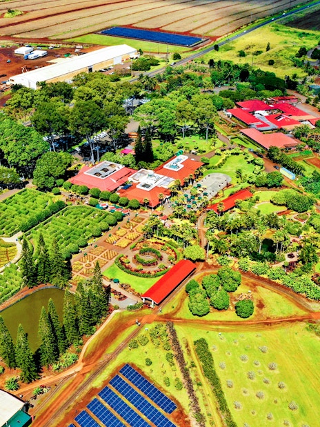 Aerial view of Dole Plantation in Oahu featuring gardens, maze, and surrounding fields.