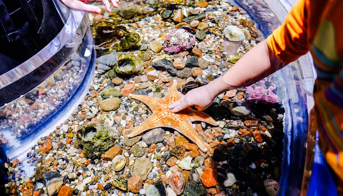 Lost Chambers Aquarium