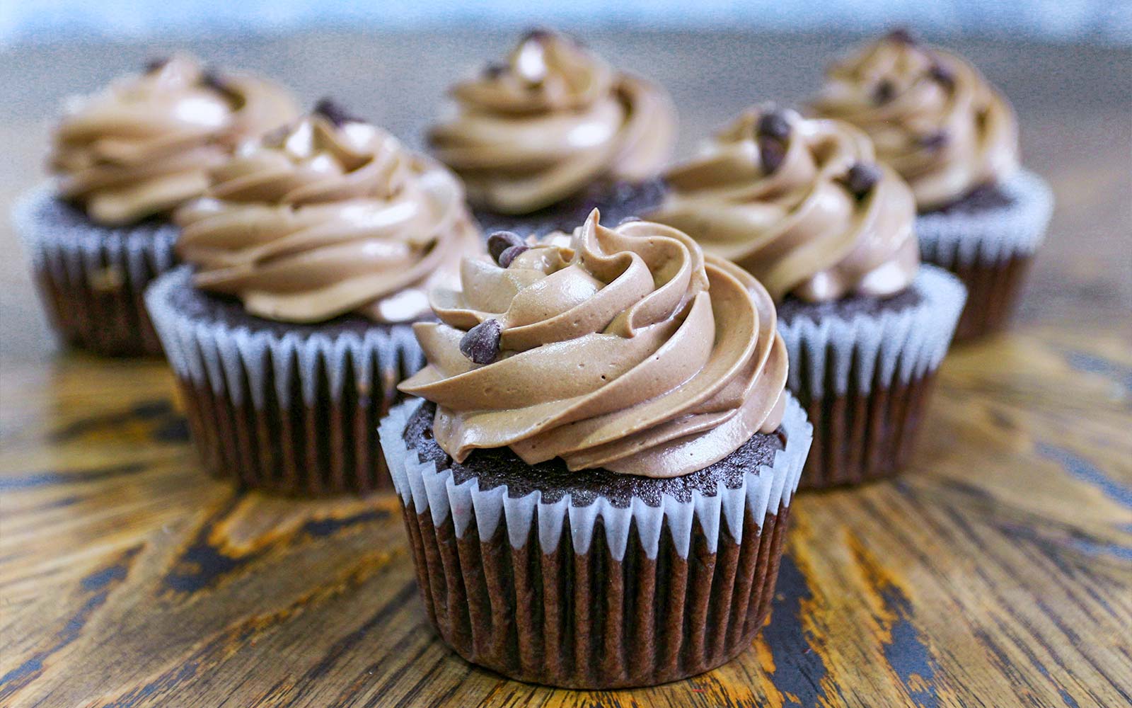 Chocolate cupcakes with swirled frosting at Chocolate Frog Café.