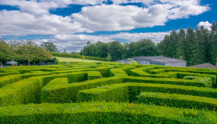 Leeds Castle Maze with green hedges under a blue sky.