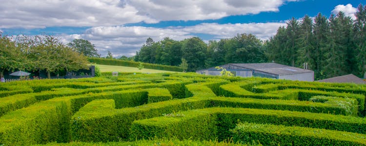 Leeds castle highlights