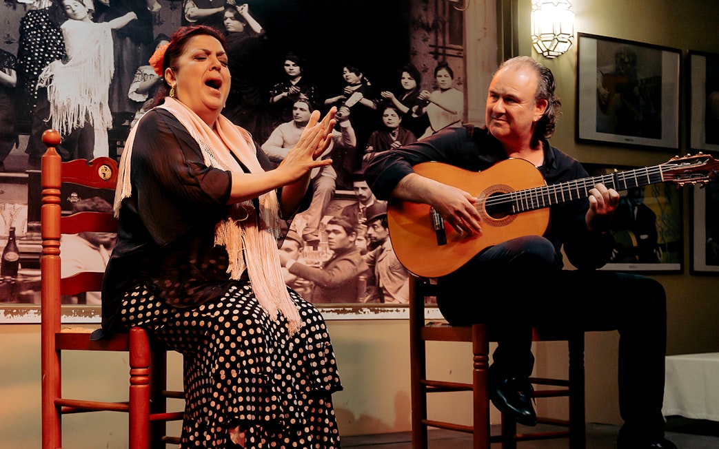 Flamenco singer and guitarist performing at Tablao La Cantaora show.