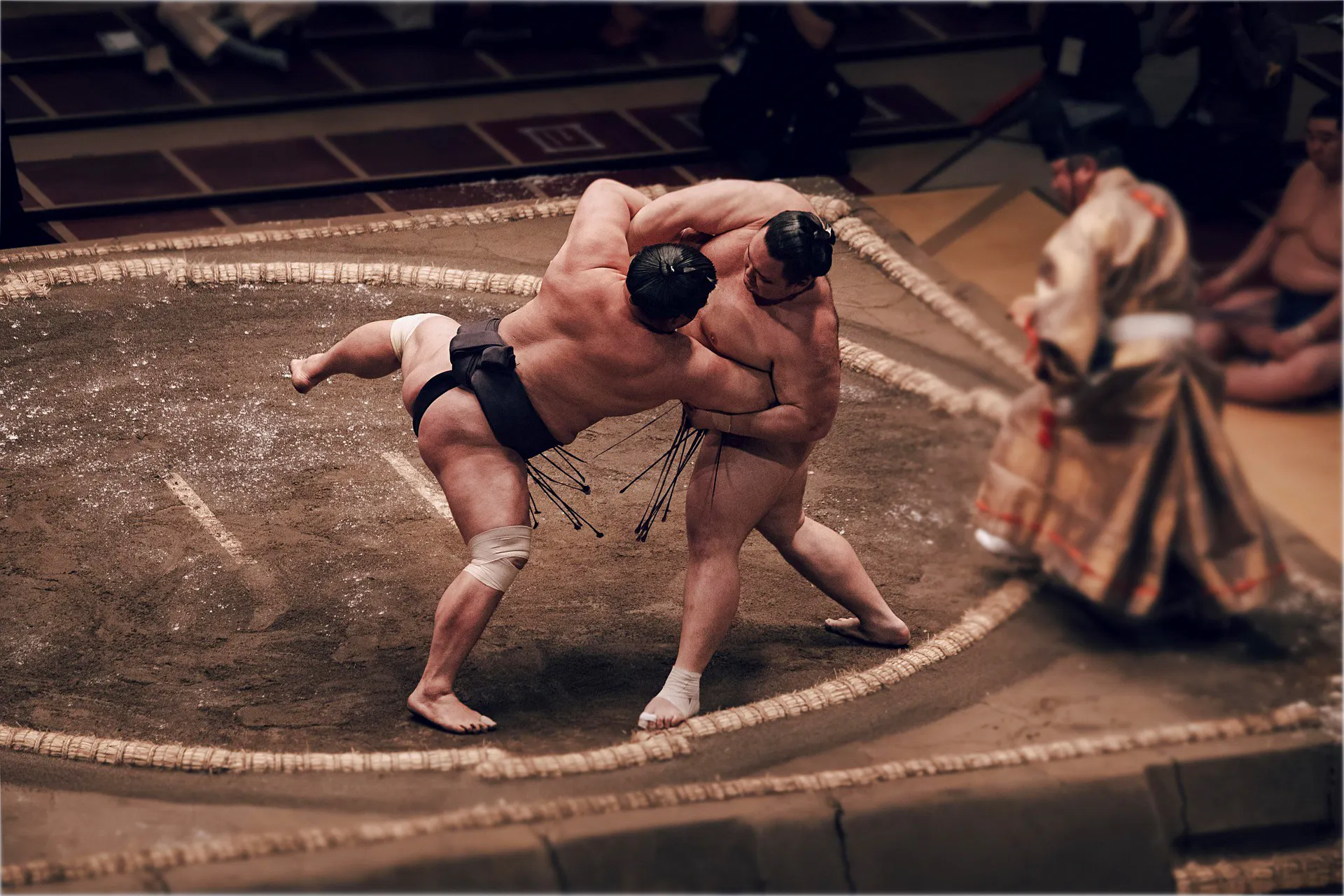 Sumo wrestlers competing in the Fukuoka Grand Sumo Tournament with a local guide.
