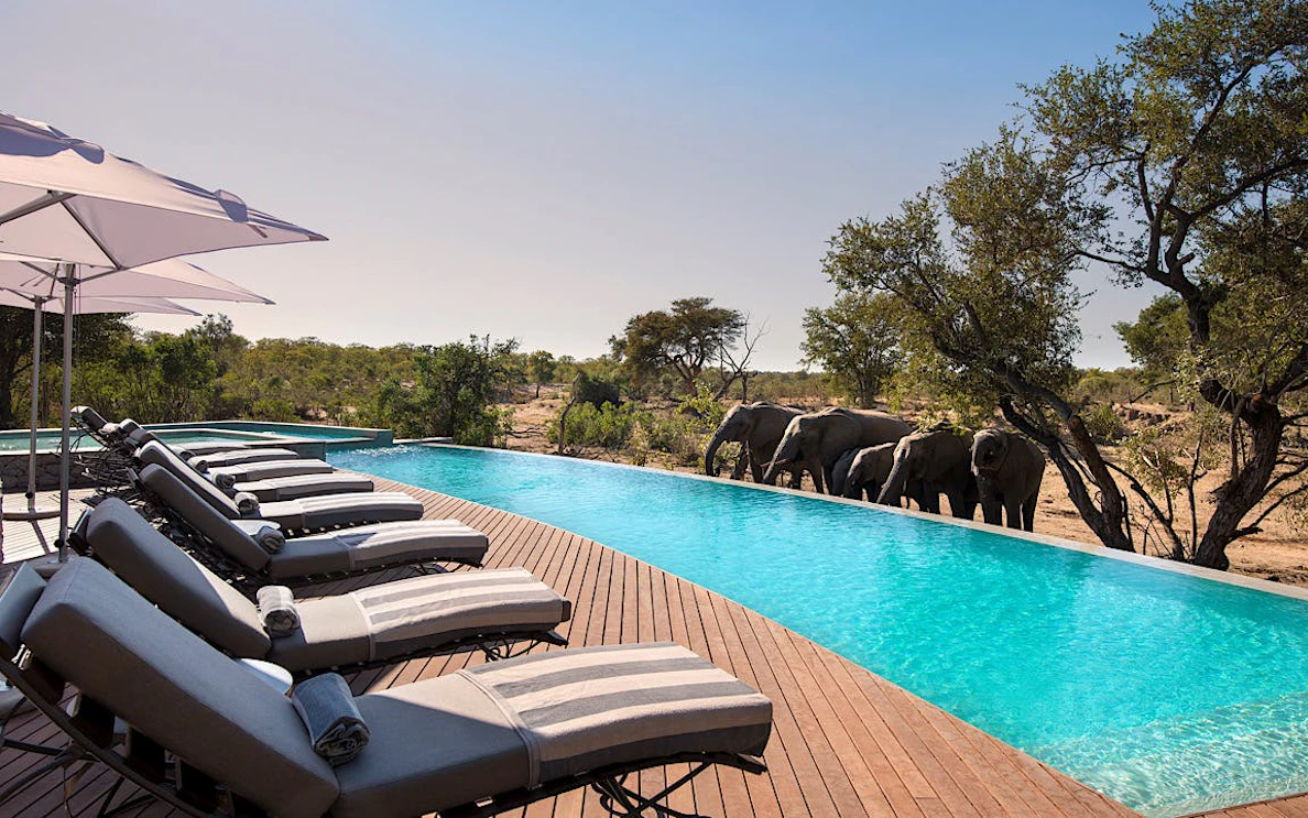 grand safari tour in sudafrica: riserve private di timbavati, kruger e phinda e città del capo con alloggi premium, trasferimenti privati e voli di linea-1