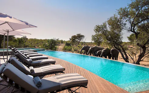grand safari tour in sudafrica: riserve private di timbavati, kruger e phinda e città del capo con alloggi premium, trasferimenti privati e voli di linea-1