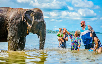People interacting with an elephant at Lily Elephant Camp, Phuket beach.