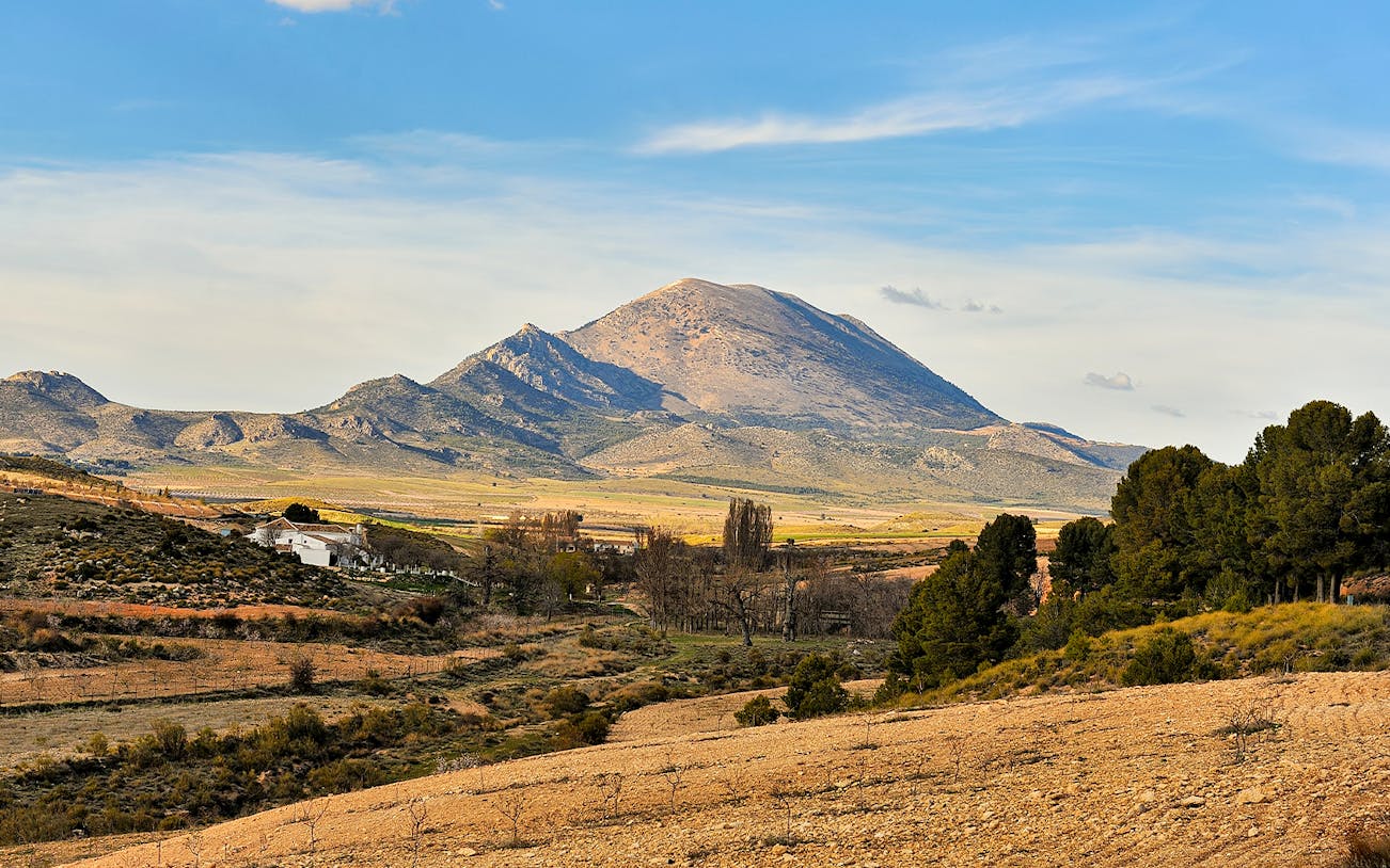 Granada Geopark landscape with mountains and trees in the foreground.