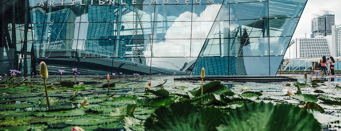 Best Museums in Singapore - art science museum