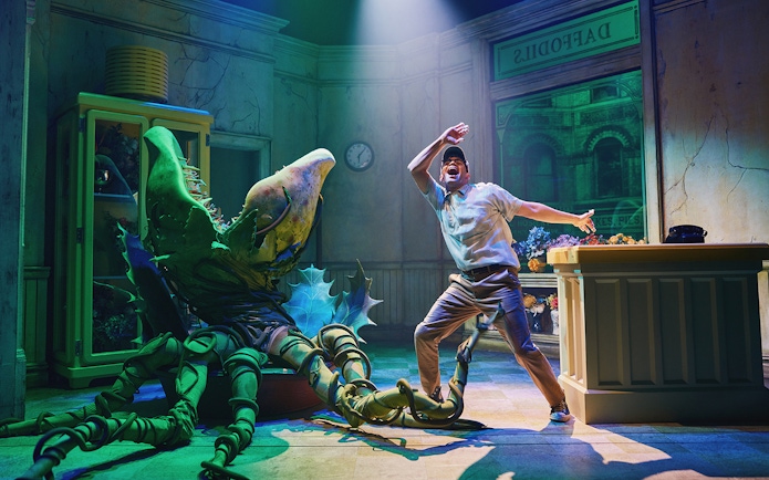 Man interacting with large plant puppet on stage during Little Shop of Horrors performance.