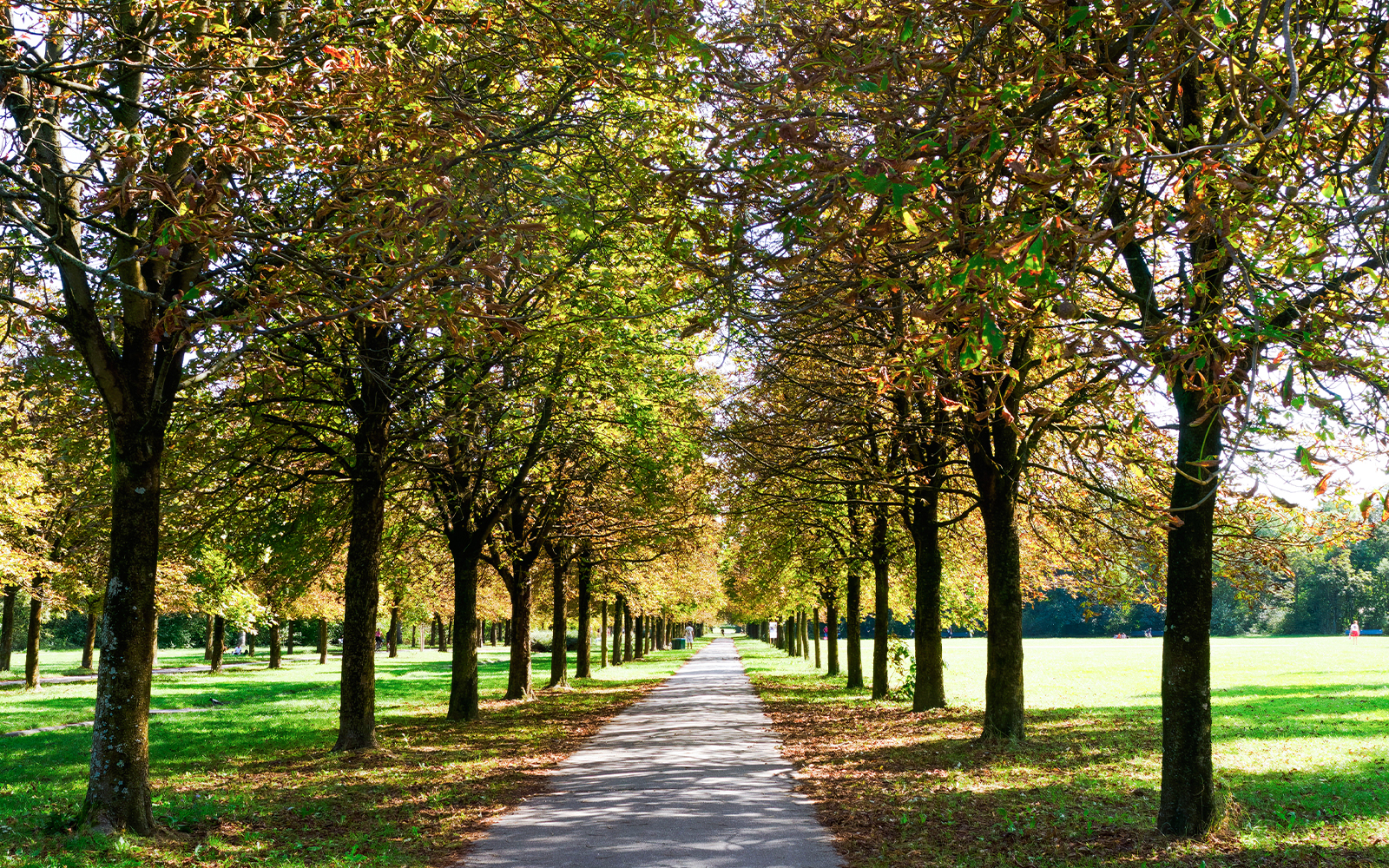 Parco Nord Milan, people walking on tree-lined path in public park, Italy.