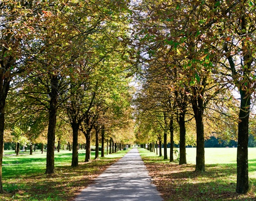 Parco Nord Milan, people walking on tree-lined path in public park, Italy.